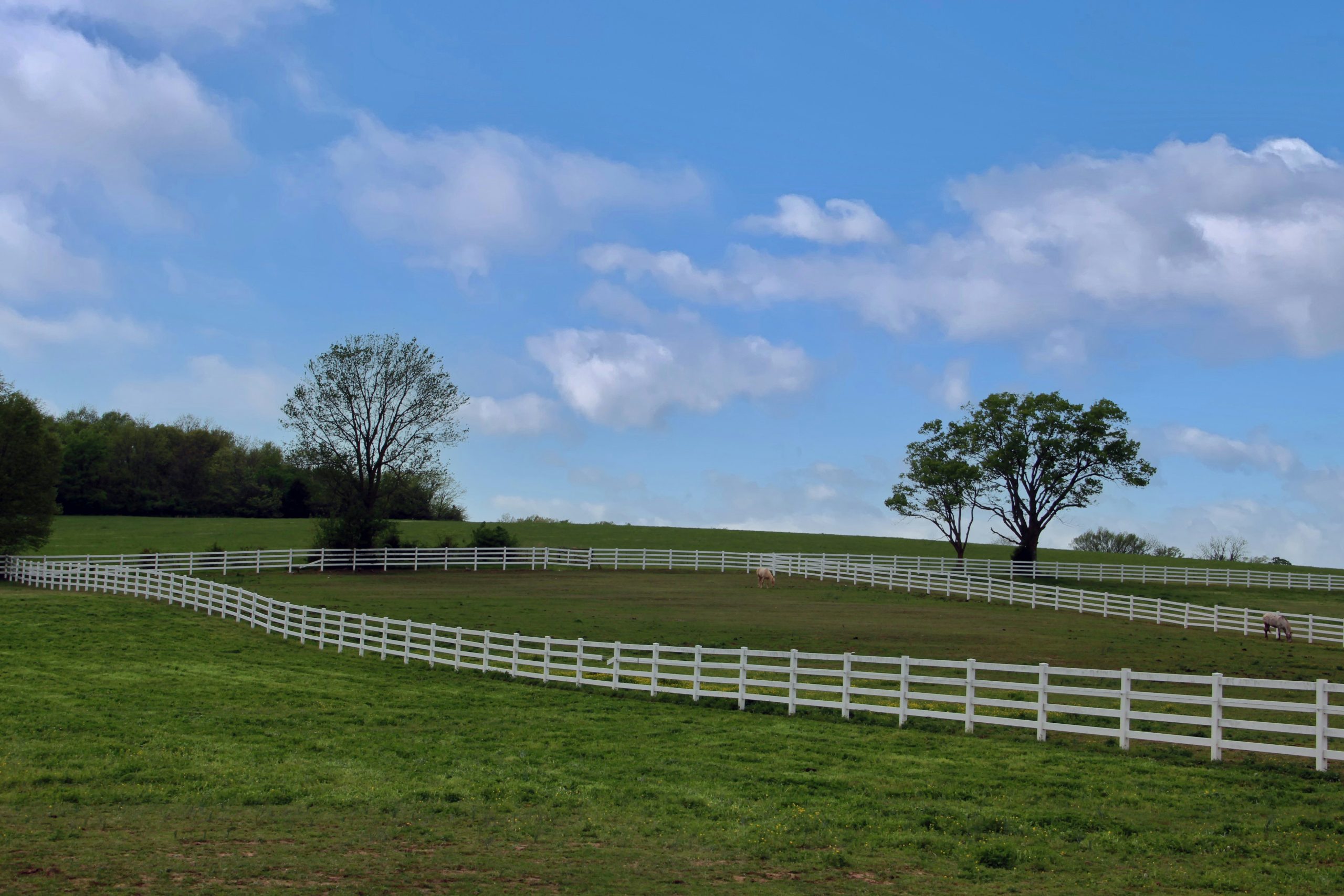 Fence Layout Planning Boise